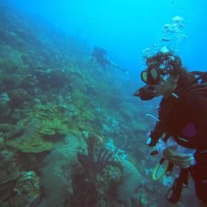 Meet your Posher, Daniella